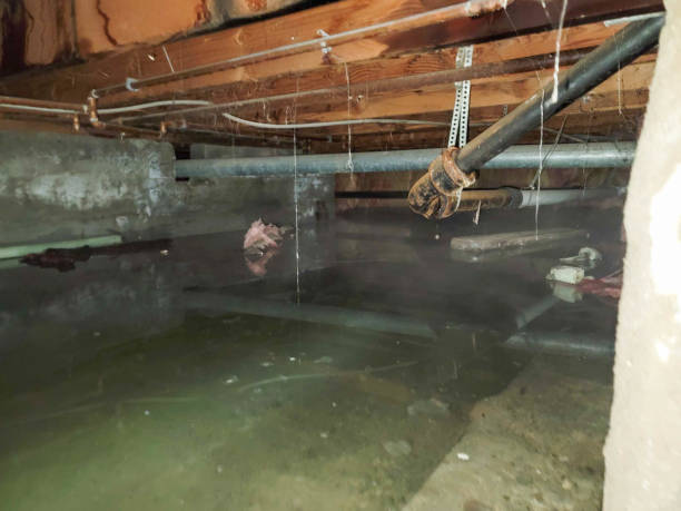 Sewage cleanup and water damage restoration in PA