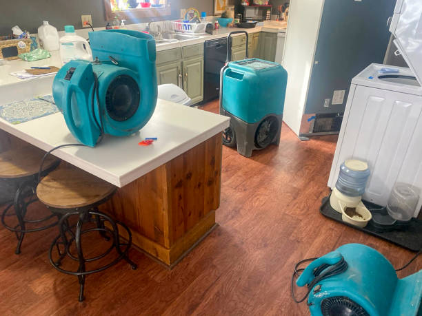 Best Mold removal after water damage  in Hallam, PA